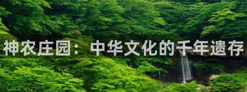 天辰娱乐 849852