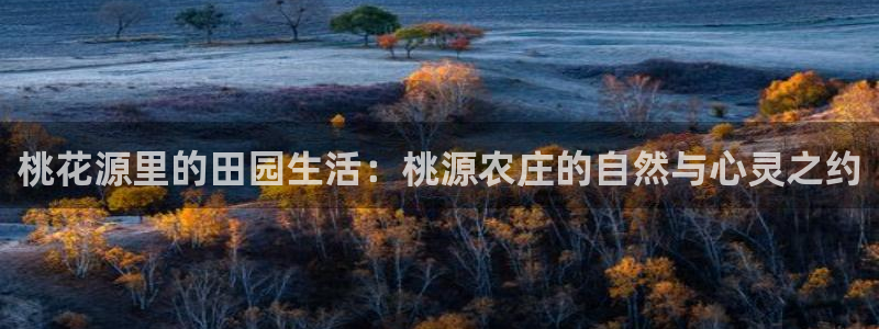 天辰娱乐主管