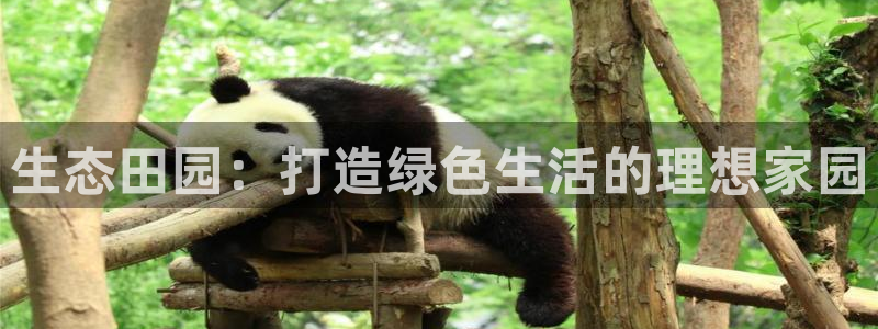 天辰娱乐官网平台入口
