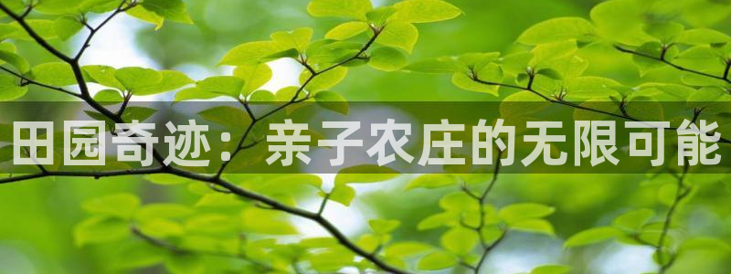 天辰娱乐好吗