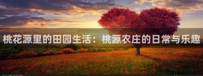 天辰娱乐信誉