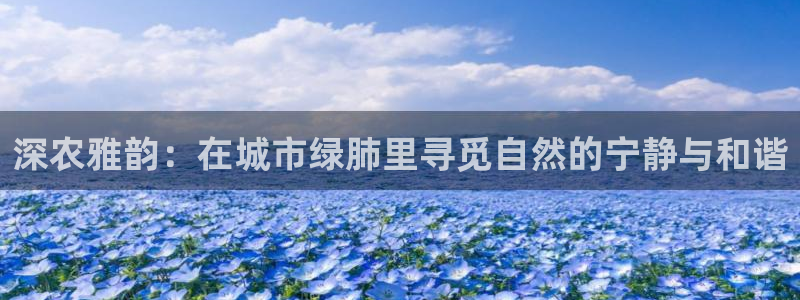 天辰平台娱乐