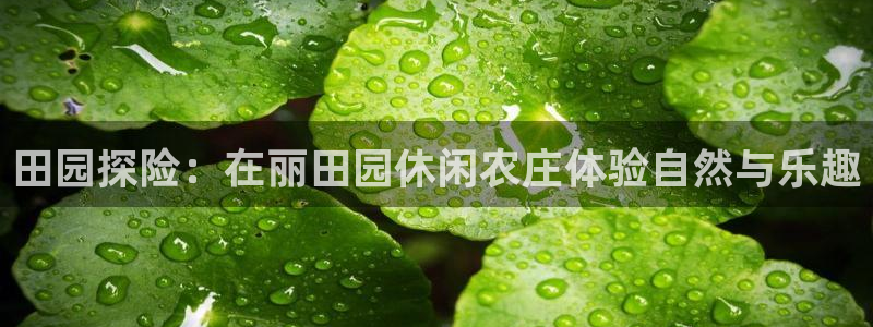天辰娱乐平台娱乐注册