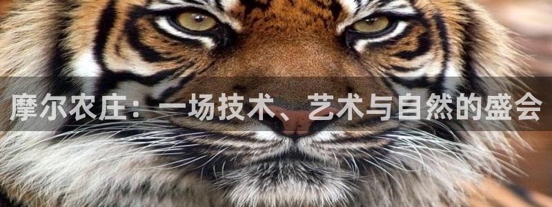 天辰宝娱乐