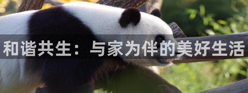 天辰娱乐官网