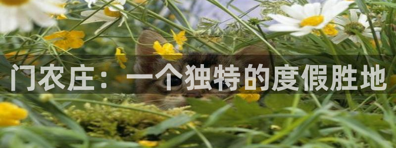 天辰娱乐台湾