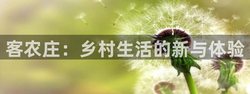 天辰娱乐软件