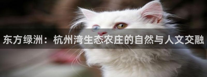 天辰娱乐鱼刺