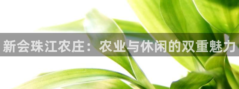 天辰娱乐 . 鱼刺