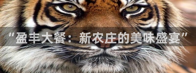 天辰娱乐跑的快