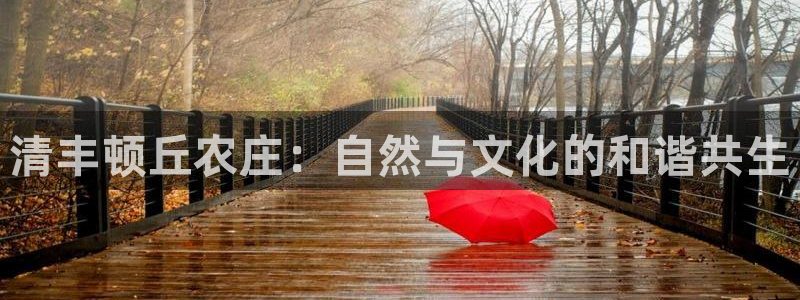 天辰娱乐best