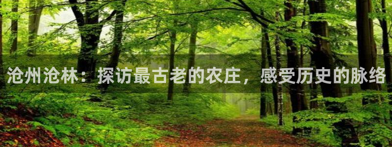 天辰说娱乐
