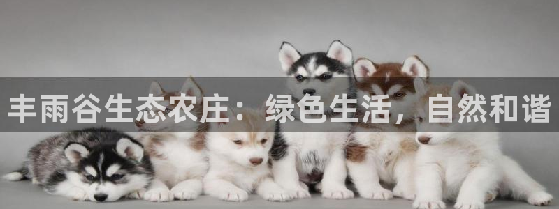 天辰娱乐 44516