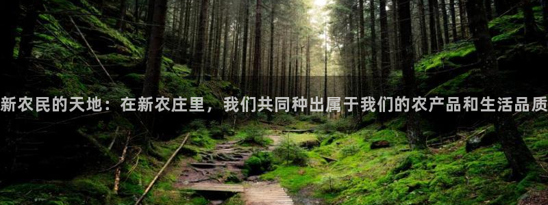 天辰娱乐51137