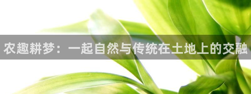 天辰娱乐文案