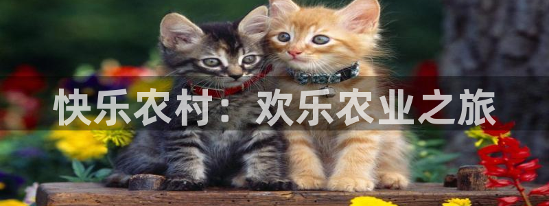 菲律宾天辰娱乐
