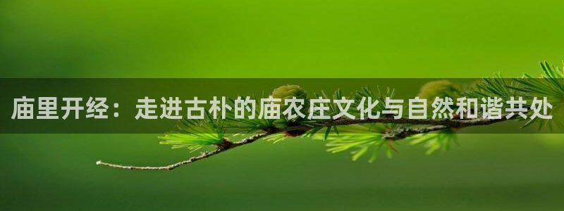 天辰娱乐2