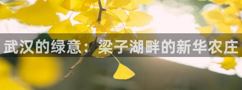 天辰线上娱乐