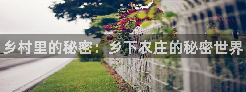 天辰娱乐-q