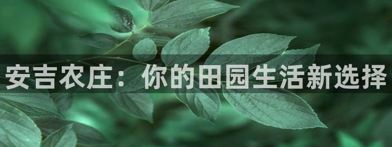 天辰娱乐-q