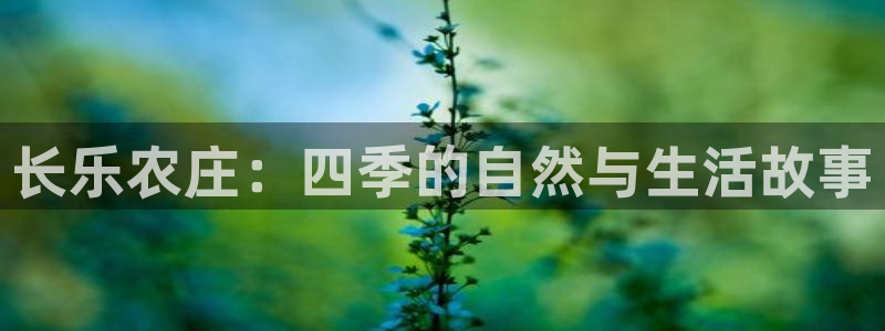 天辰娱乐卡