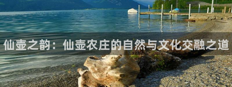 天辰娱乐app