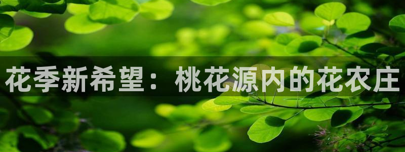 天辰娱乐招商