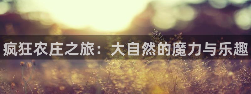 天辰娱乐咋样