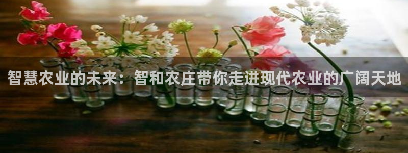 广东天辰娱乐