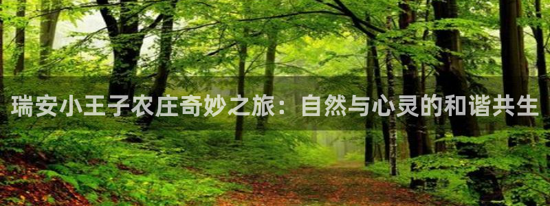 天辰娱乐简介