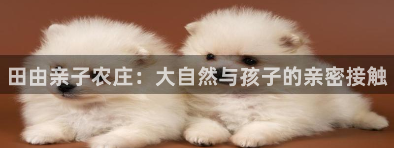 手机上怎么下载天辰娱乐