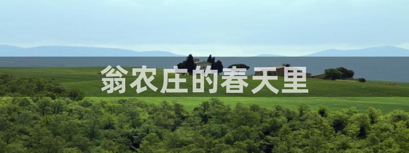 天辰娱乐小妹