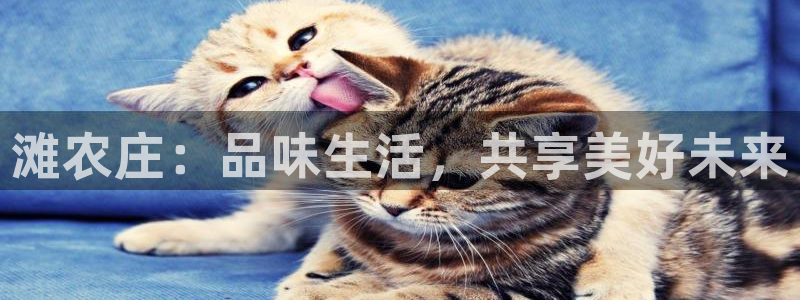 天辰说娱乐