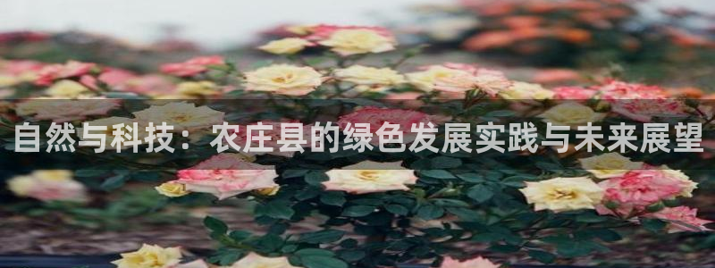 天辰娱乐首页