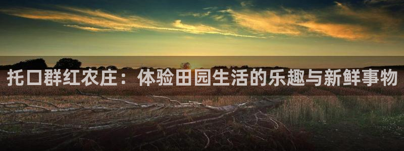 天辰娱乐75775