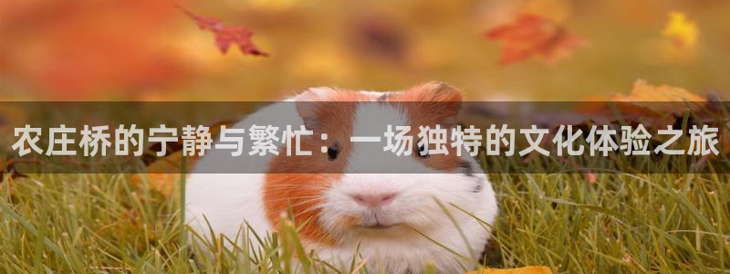 天辰娱乐视频