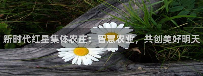 天辰宝宝娱乐