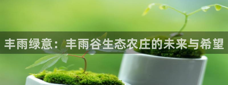 天辰娱乐 主管