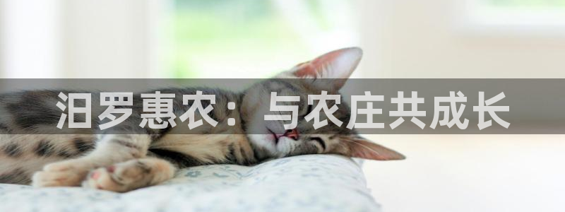 天辰娱乐小妹