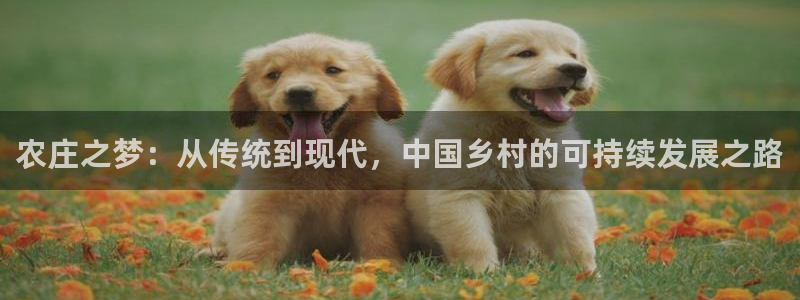 菲律宾天辰娱乐