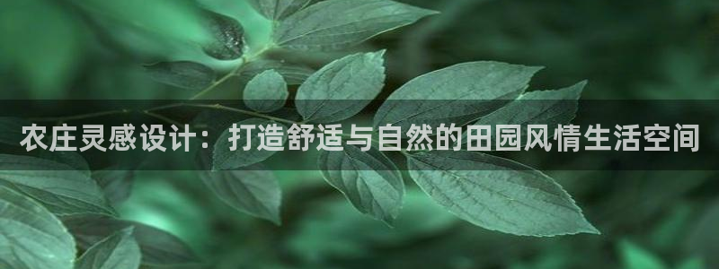 天辰说娱乐