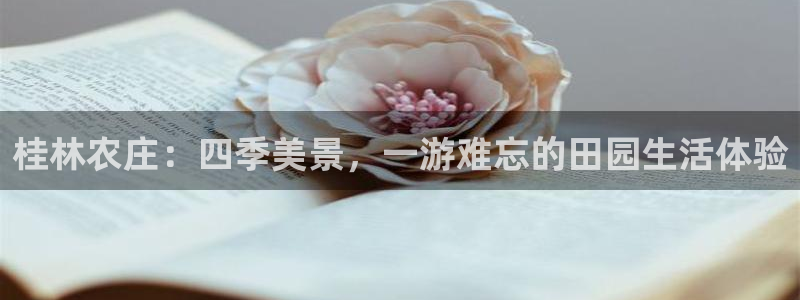 天辰娱乐总管