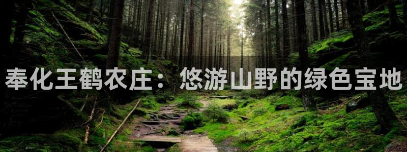 天辰娱乐885544