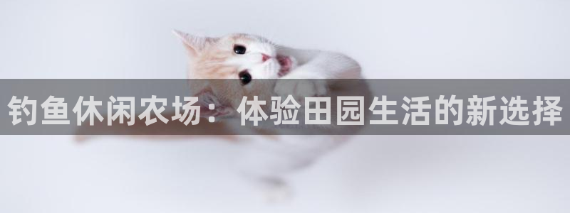 天辰娱乐游戏平台怎么样