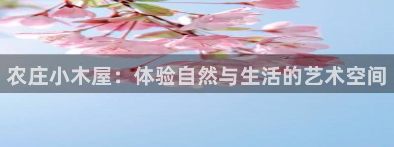 天辰娱乐简介