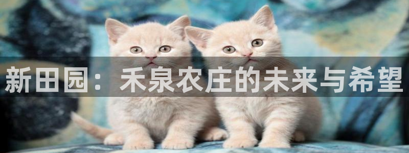 天辰娱乐连接