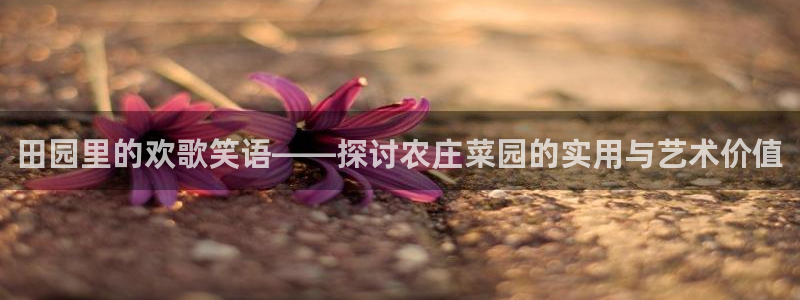 天辰彩票娱乐