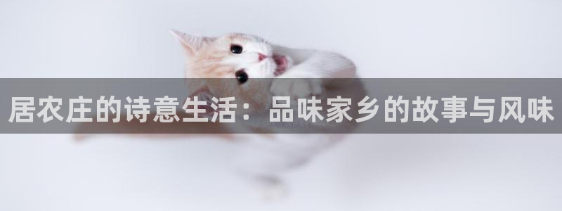 天辰娱乐天辰宝