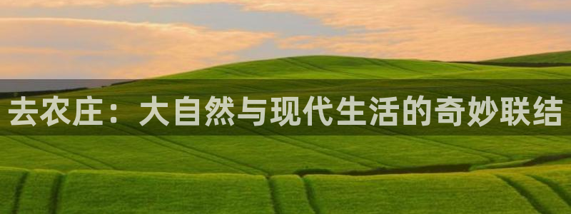 天辰娱乐跑的快
