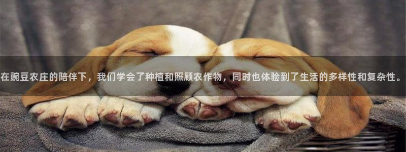 菲律宾天辰娱乐